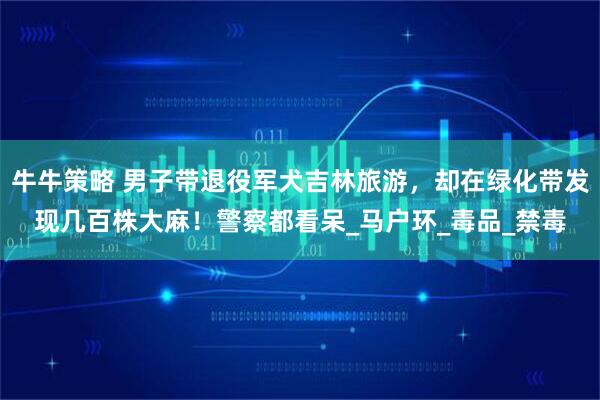 牛牛策略 男子带退役军犬吉林旅游，却在绿化带发现几百株大麻！警察都看呆_马户环_毒品_禁毒