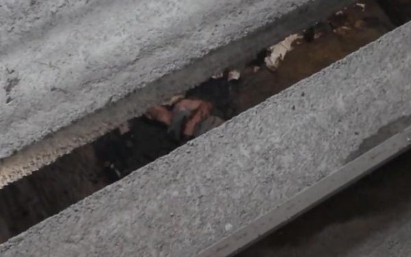 中股网 男子失足掉入旱厕，躺坑中等消防救援，网友：那个场面有点绝望