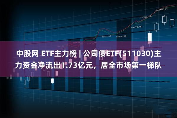 中股网 ETF主力榜 | 公司债ETF(511030)主力资金净流出1.73亿元，居全市场第一梯队
