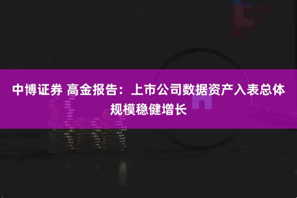 中博证券 高金报告：上市公司数据资产入表总体规模稳健增长