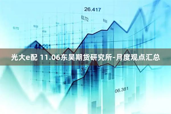 光大e配 11.06东吴期货研究所-月度观点汇总