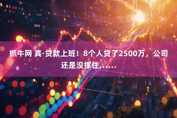 抓牛网 真·贷款上班！8个人贷了2500万，公司还是没撑住……