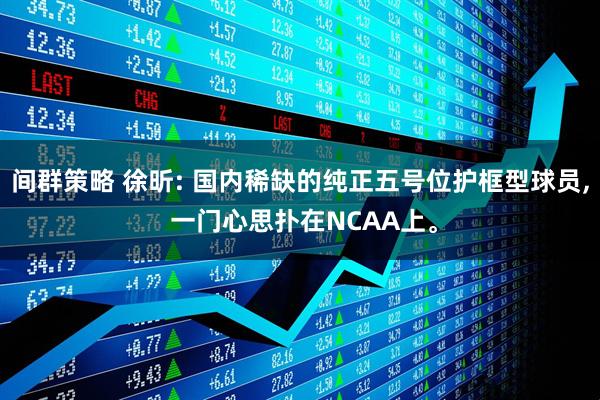 间群策略 徐昕: 国内稀缺的纯正五号位护框型球员, 一门心思扑在NCAA上。